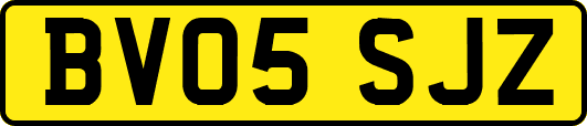 BV05SJZ