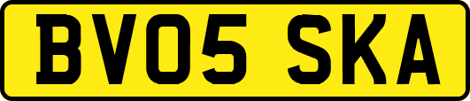 BV05SKA