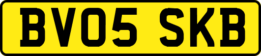 BV05SKB