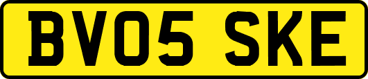 BV05SKE