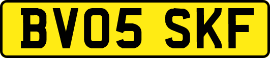 BV05SKF
