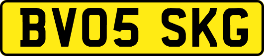 BV05SKG