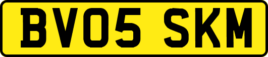 BV05SKM