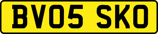 BV05SKO