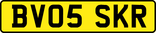 BV05SKR