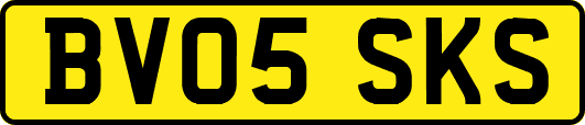 BV05SKS