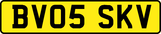 BV05SKV