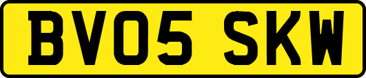 BV05SKW