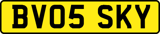 BV05SKY