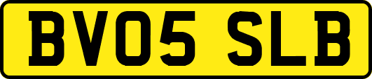 BV05SLB