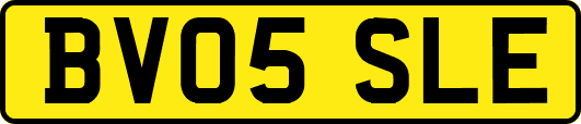 BV05SLE