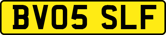 BV05SLF