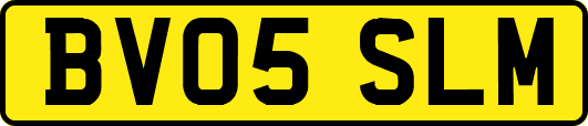 BV05SLM