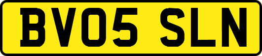 BV05SLN