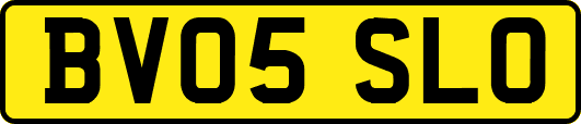 BV05SLO