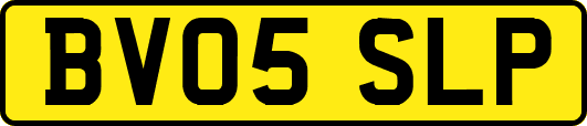 BV05SLP