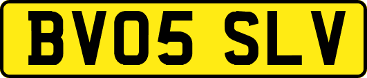BV05SLV