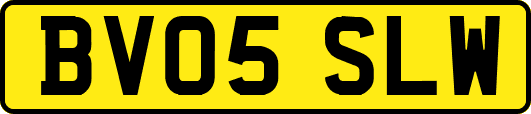 BV05SLW