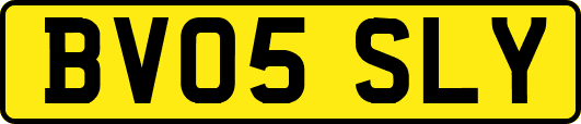 BV05SLY