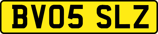BV05SLZ