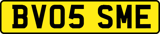 BV05SME