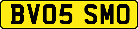 BV05SMO