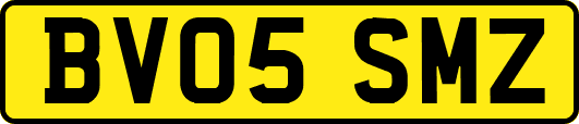 BV05SMZ