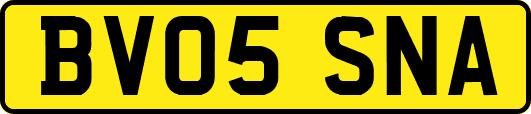 BV05SNA