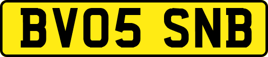 BV05SNB