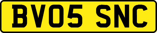BV05SNC