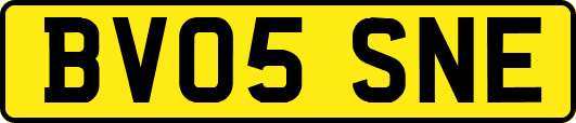 BV05SNE