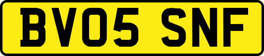 BV05SNF