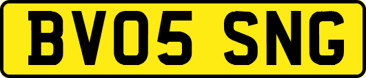 BV05SNG
