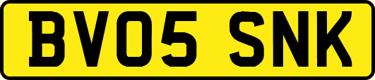 BV05SNK