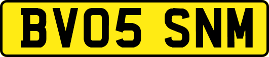 BV05SNM