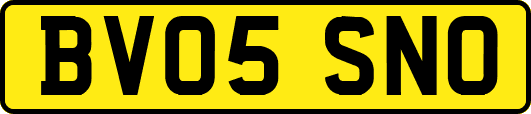 BV05SNO