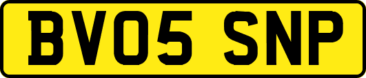 BV05SNP