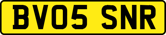 BV05SNR
