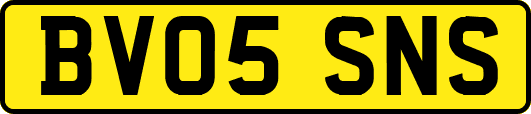 BV05SNS
