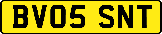 BV05SNT