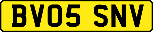 BV05SNV