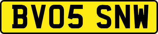 BV05SNW
