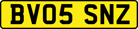 BV05SNZ