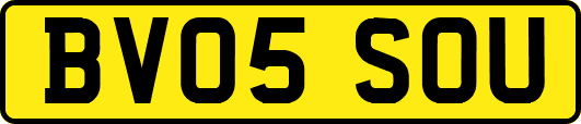 BV05SOU
