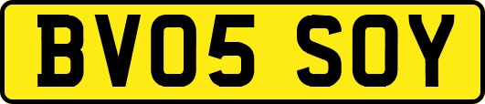 BV05SOY