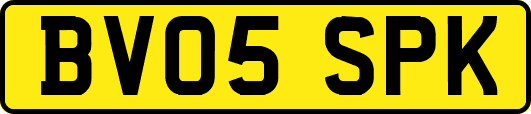 BV05SPK