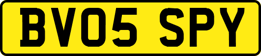 BV05SPY