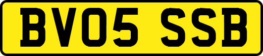 BV05SSB