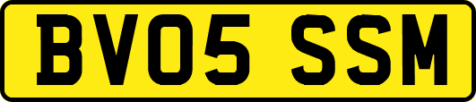 BV05SSM