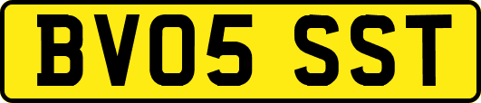 BV05SST